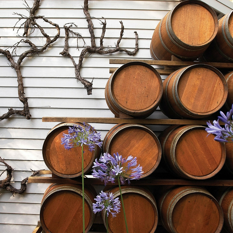 Taste some of the best food and wine of the Margaret River region on a full day tour