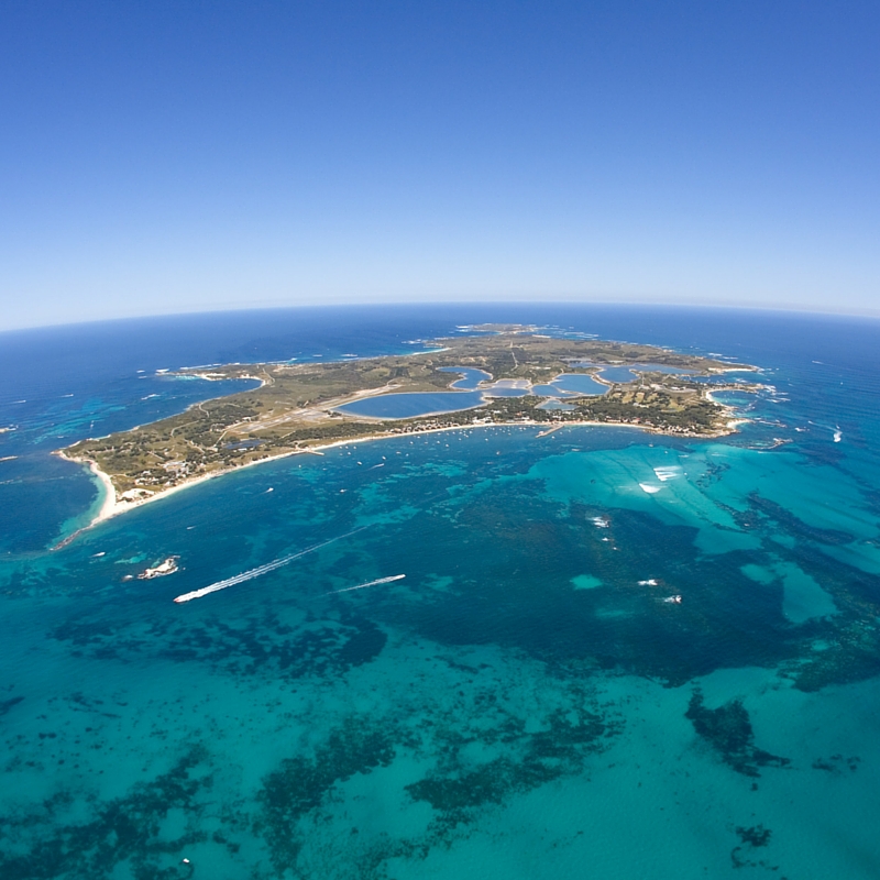 Travel to Rottnest Island from Hillarys Boat Harbour