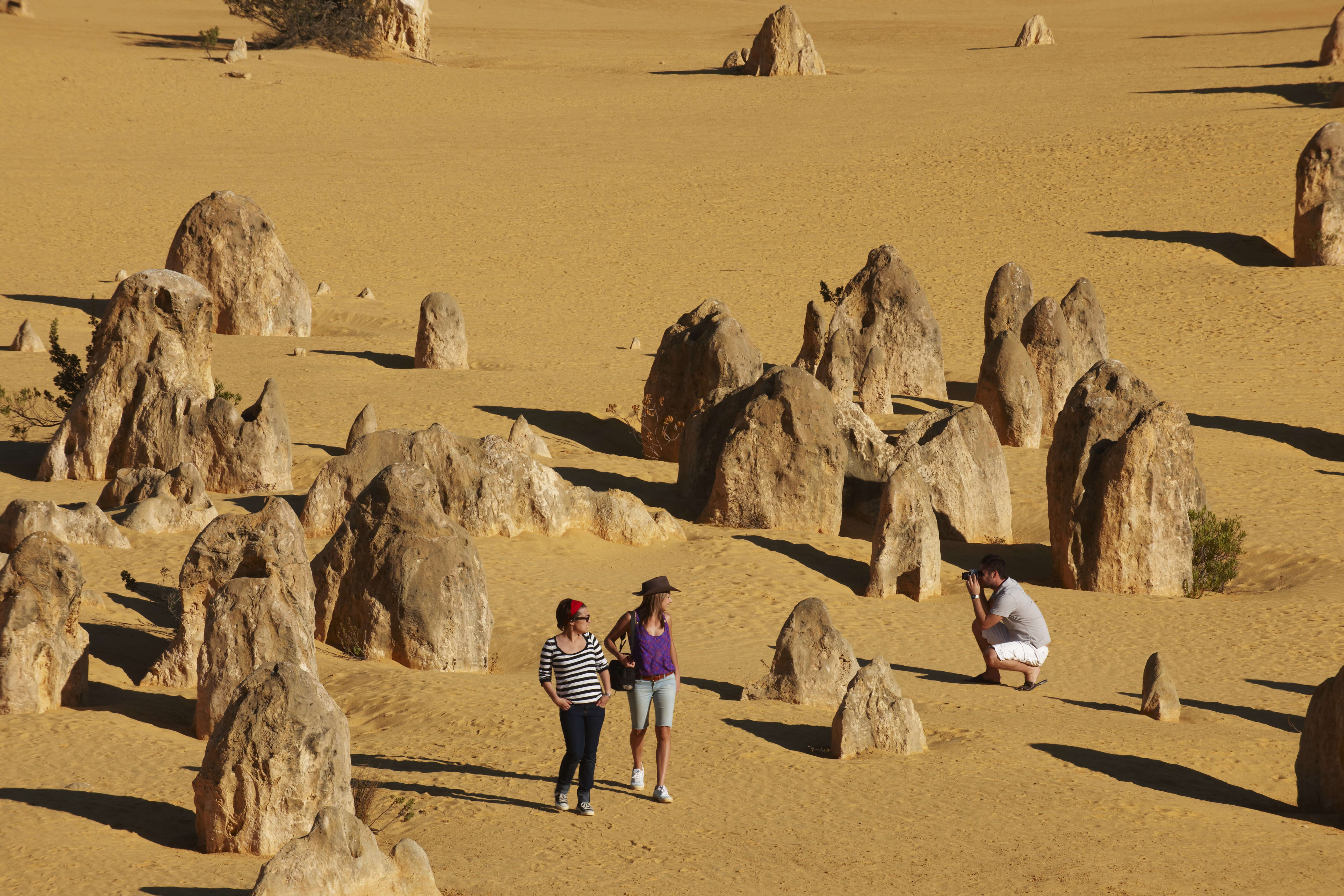 Pinnacles, Nambung National Park, Western Australia