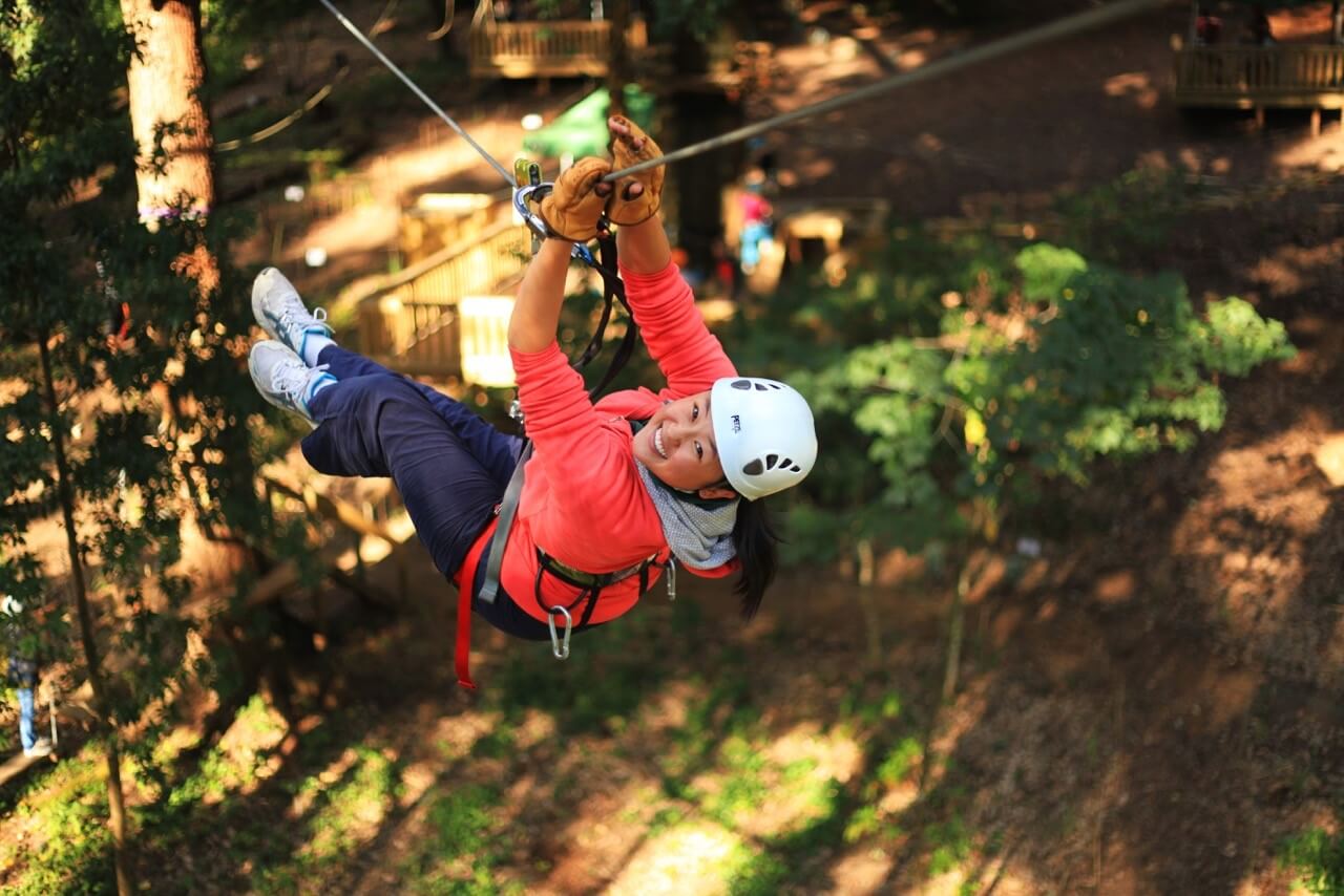 Trees Adventures Abseiling