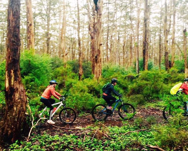 Forests to Cave Mountain Bike Ride Margaret River