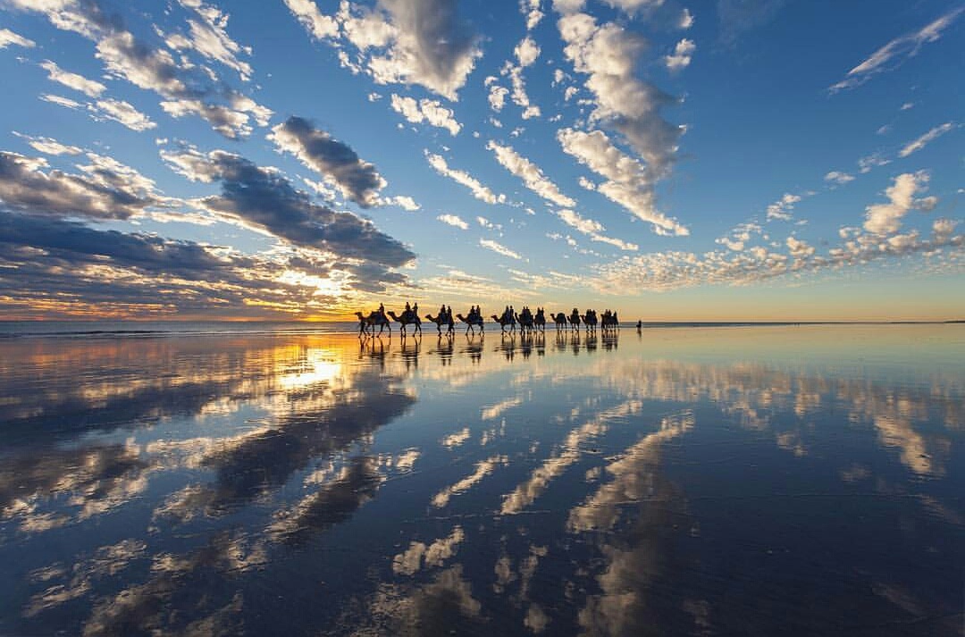 Sunset Camel Ride on the Beach in Broome, Western Australia