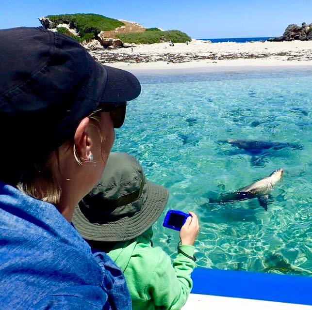 Penguin Island Wildlife Cruise