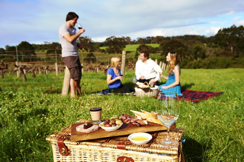 Picnic at Vasse Felix vineyard