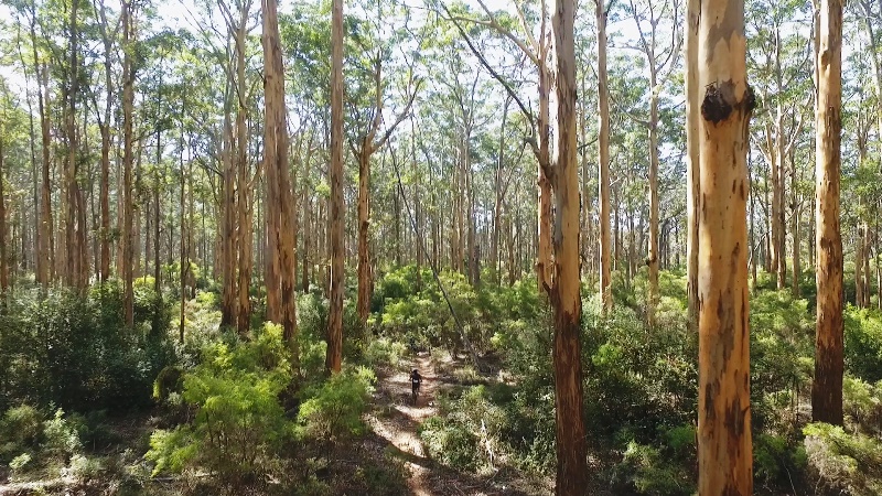 Forests to Cave Mountain Bike Ride, Margaret River, Western Australia