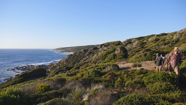 Margaret River Discovery Tour, Western Australia