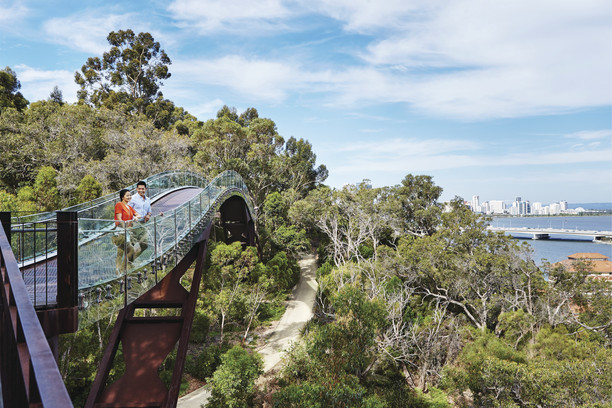 Kings Park Tree Top Walk, Perth City