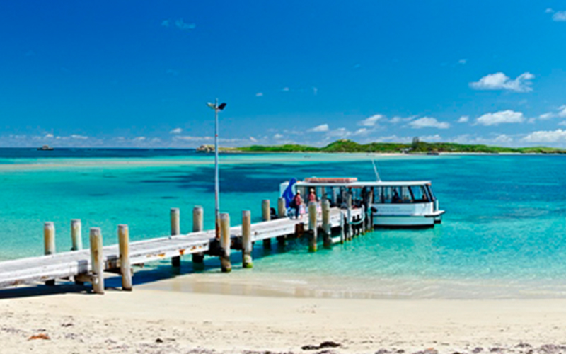 Penguin Island Ferry