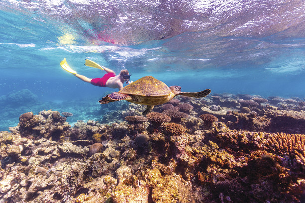 Coral Bay Snorkel