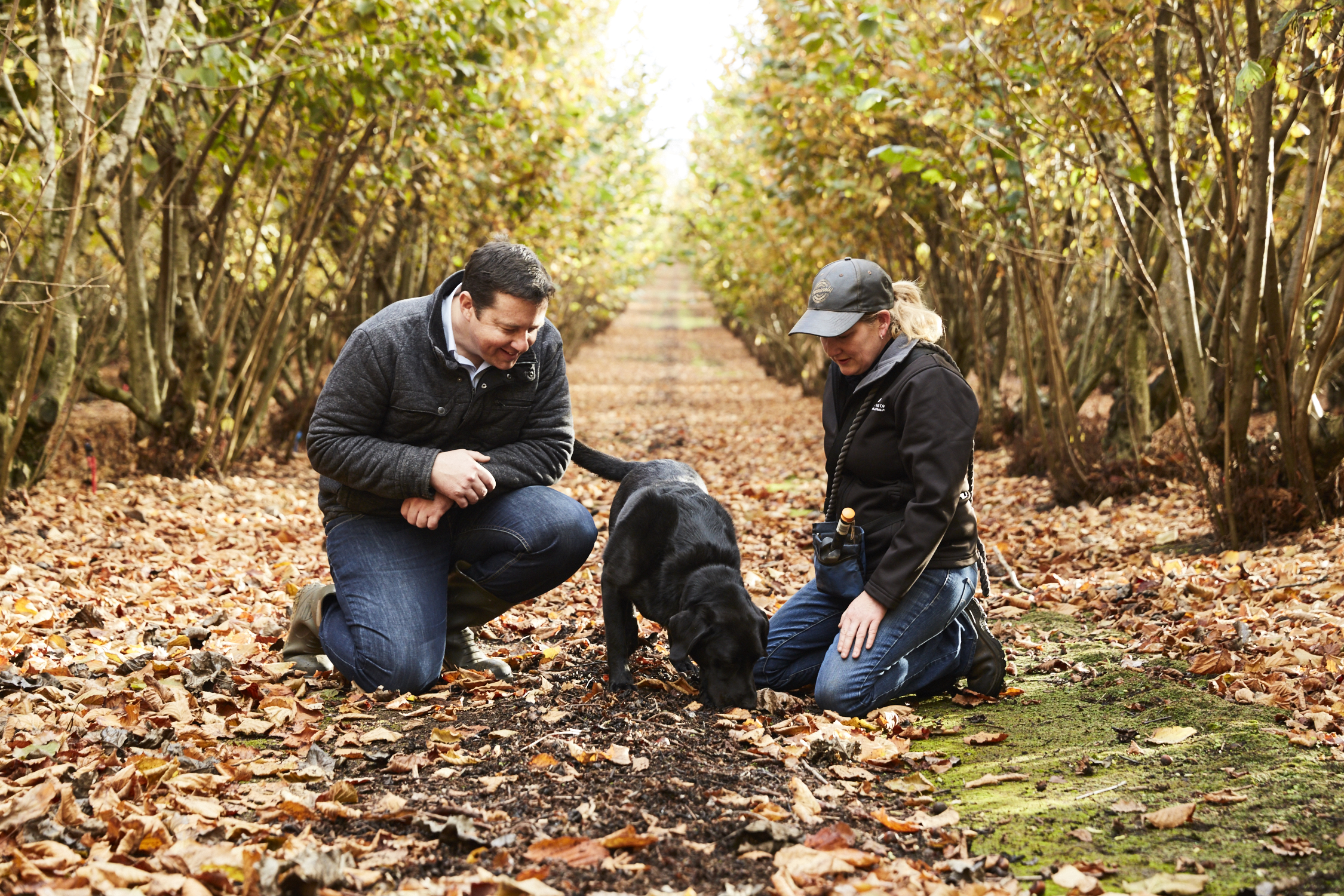 Hunting for truffles, The Truffle and Wine Co.
