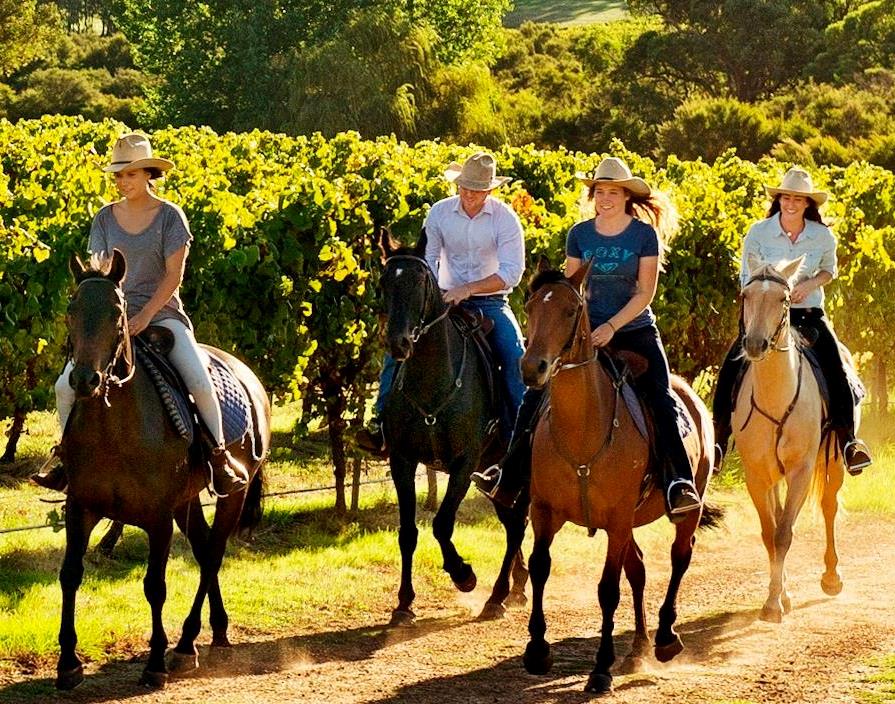 Horse riding Tour Margaret River