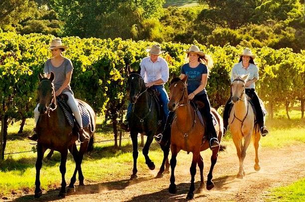 Horse Riding Tour Margaret RIver