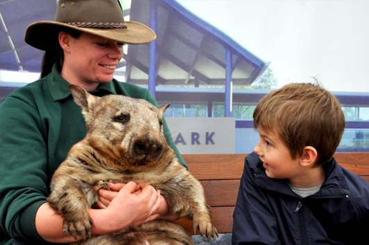 Caversham Wildlife Park Perth tours experiences