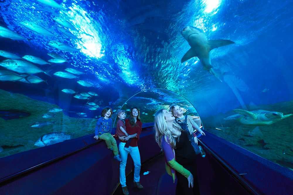 AQWA Aquarium of WA, Hillarys
