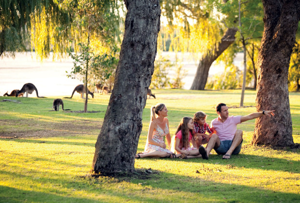 Yanchep National Park, family with kangaroos