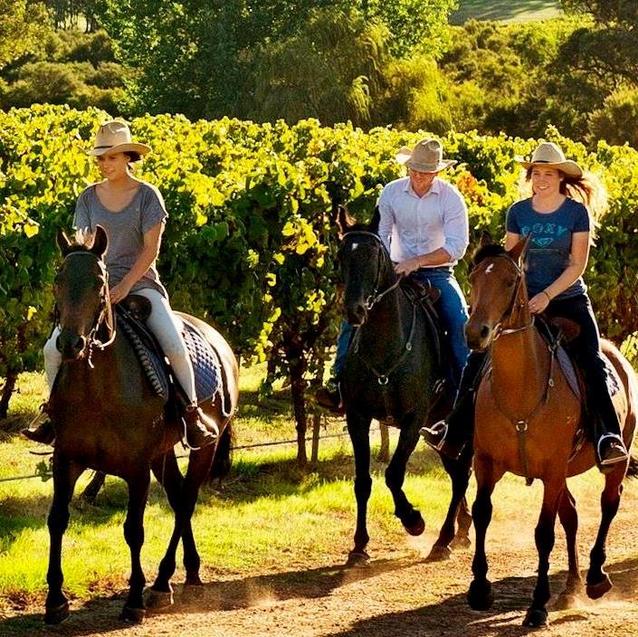 Margaret River Horse Riding tour