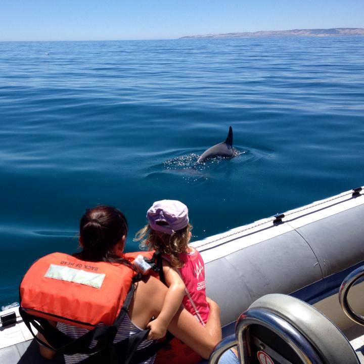 Kangaroo Island Ocean Safari