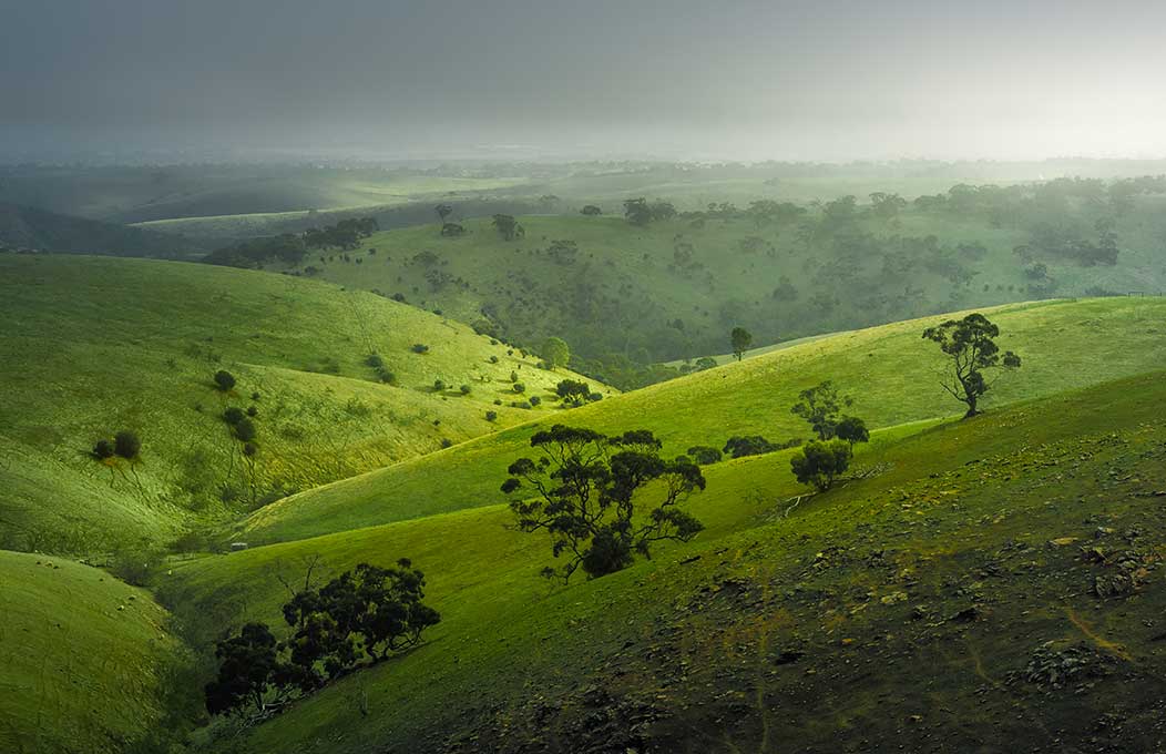 Things to do in Adelaide this winter Adelaide & Barossa Valley Blog