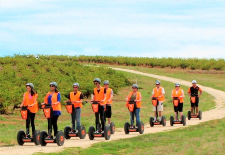 Segway at Seppeltsfield