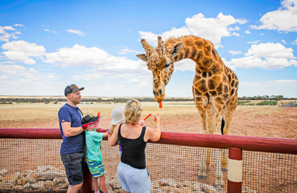 Monarto Zoo Adelaide