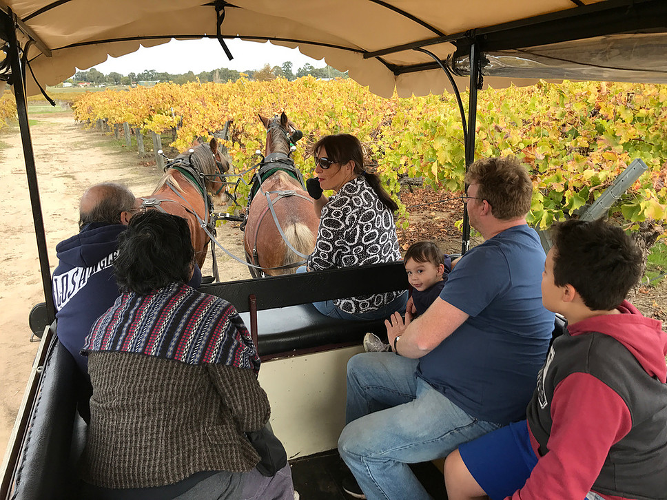 Swan Valley Wagon Tours Perth tours experiences