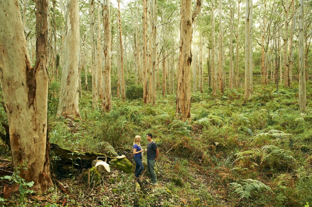 Margaret River Full Day Tour from Perth with Sightseeing Pass Australia. Book online today!