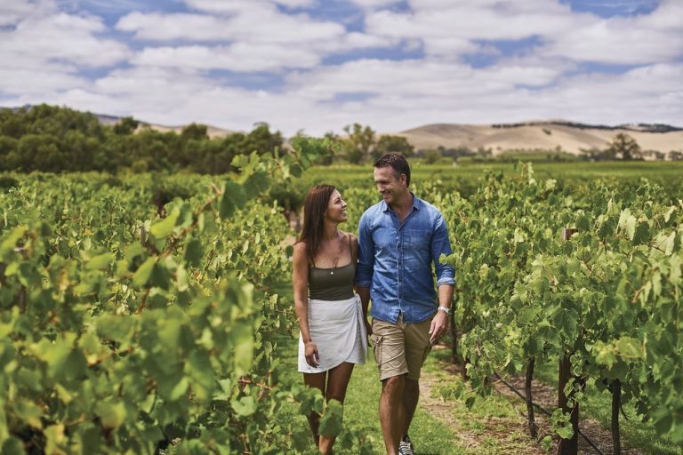 Barossa Valley Full Day Tour South Australia