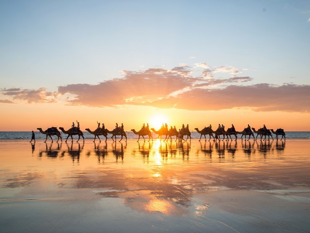 Sunset Camels Cable Beach Broome